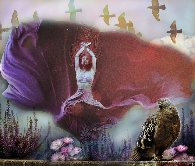 音樂家不僅 音樂家不僅