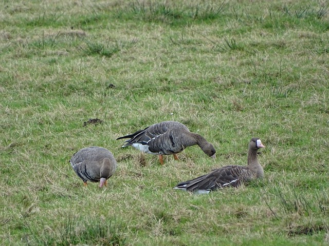 上村健一：在任期内要全力帮球员提升，来回报信任我的中国足协.