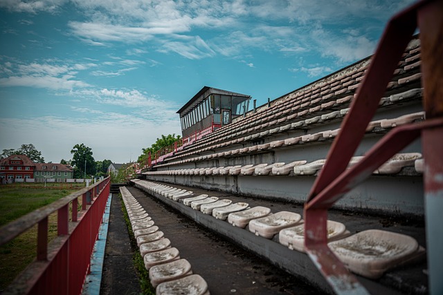 篮网队的成 篮网队的成