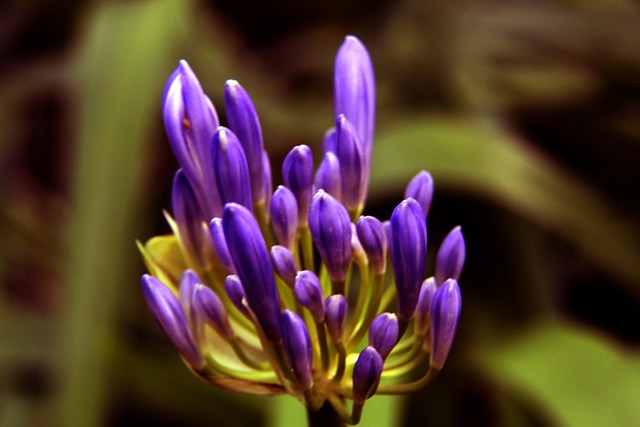 媒体在选举 媒体在选举