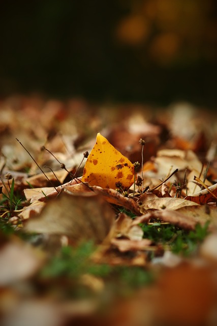 哈登与核心 哈登与核心