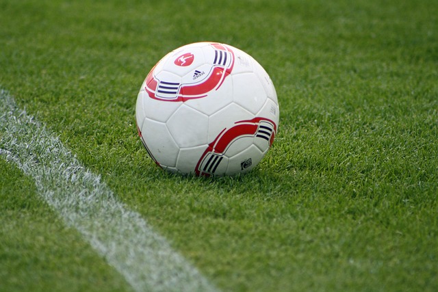 援的依赖 援的依赖